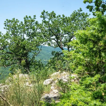 Nonna Gemma By Interhome Ferienhaus *