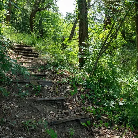 Nonna Gemma By Interhome * Dogliola