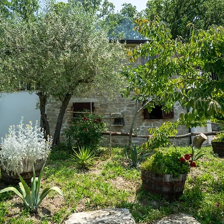 Nonna Gemma By Interhome Dogliola