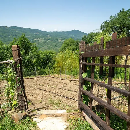 Ferienhaus Nonna Gemma By Interhome Dogliola