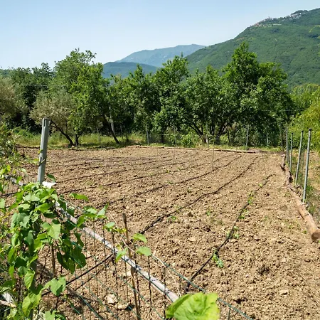 Ferienhaus Nonna Gemma By Interhome Dogliola