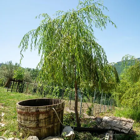 Nonna Gemma By Interhome