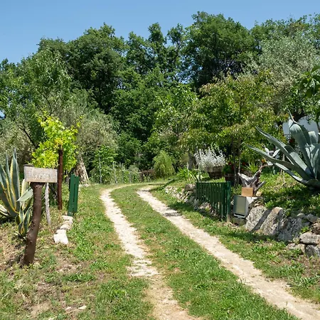 Nonna Gemma By Interhome Vakantiehuis Dogliola