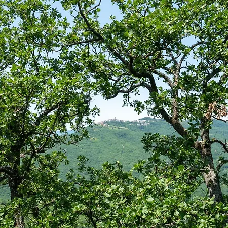 Nonna Gemma By Interhome Ferienhaus