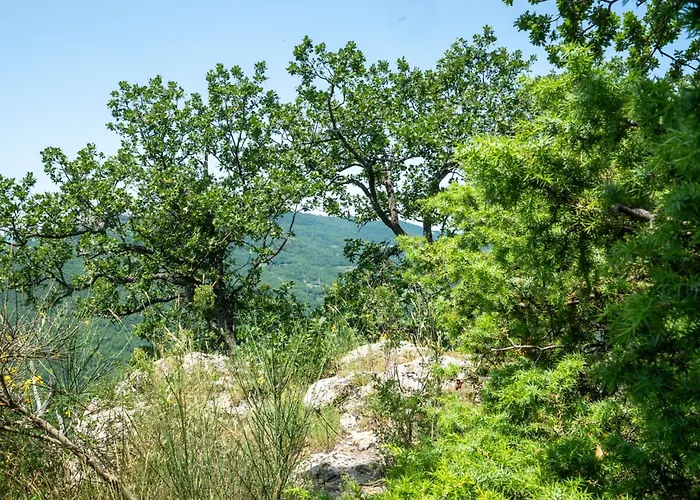 Nonna Gemma By Interhome Nyaraló *