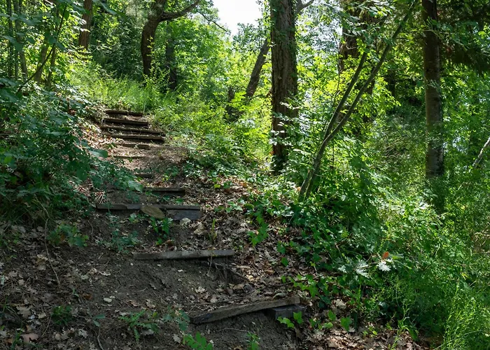 Nonna Gemma By Interhome * Dogliola