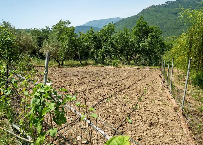 Nyaraló Nonna Gemma By Interhome Dogliola