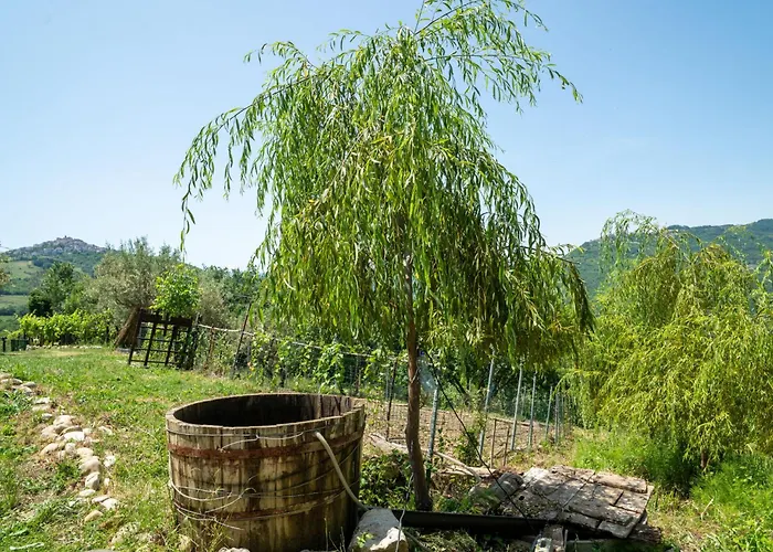 Nonna Gemma By Interhome