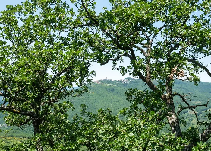 Nonna Gemma By Interhome Σπίτι διακοπών